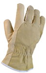 Handschuhe ASTAR