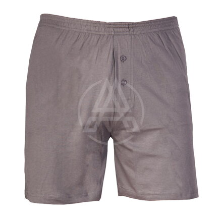 Shorts BOXER zink