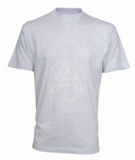 T-shirt DANIEL grau